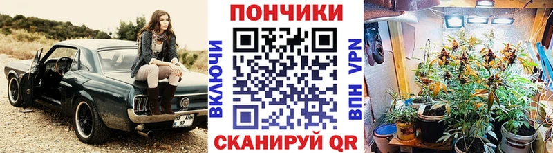 МАРИХУАНА сатива  нарко площадка формула  Мирный  что такое наркотик 